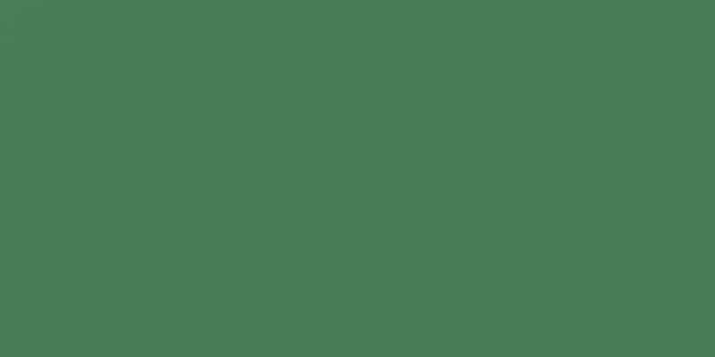A green placeholder standing in for a real diagram